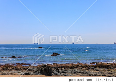 愛知縣田原市伊良湖岬的小路濱海灘 116961791