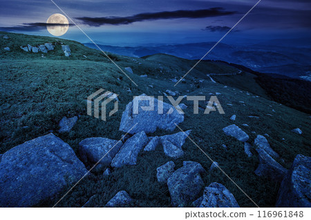 white sharp boulders on the hillside at night. mysterious carpathian countryside scenery in full moon light 116961848