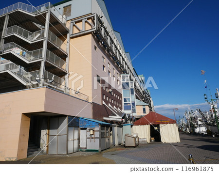 Kushiro MOO Kushiro MOO 116961875