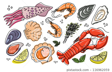 Seafood sketch. Hand drawn food. Delicious seafood. Sea cuisine. 116962059