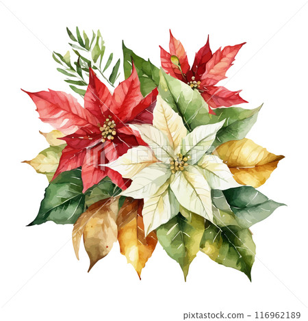 Christmas bouquets arranged from red poinsettia flowers. Happy holiday greenery. Watercolor style 116962189