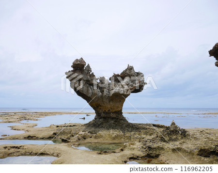 沖繩島Kouri海島心臟岩石 116962205