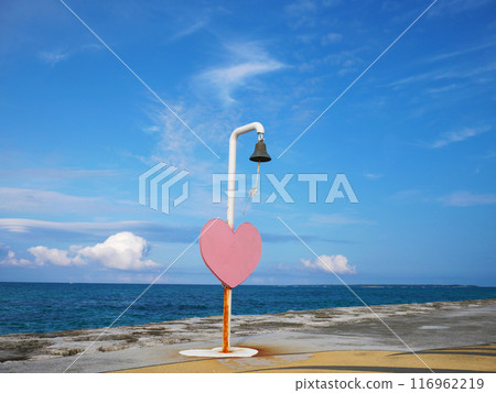 沖繩Sansan海灘心鈴和藍天 沖繩Sansan海灘心鈴和藍天 116962219