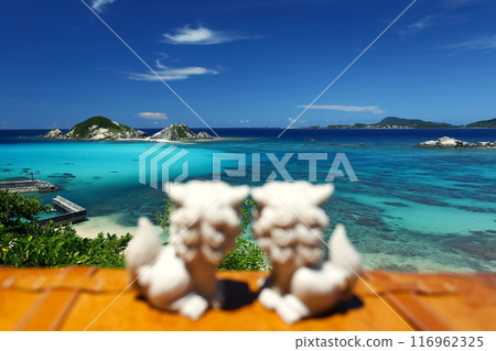 Friendly Shisa gazing at the beautiful ocean of Okinawa 116962325