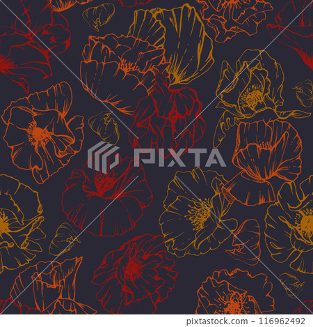 Hand drawn vector graphic botanical illustration flowers leaves. Red poppy papaver, stems buds seedpods. Seamless pattern isolated dark background. Design wedding, paper, remembrance day stationery Hand drawn vector graphic botanical illustration flowers leaves. Red poppy papaver, stems buds seedpods. Seamless pattern isolated dark background. Design wedding, paper, remembrance day stationery 116962492