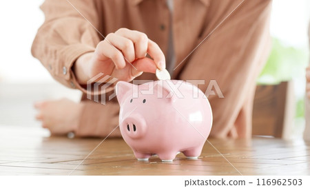 Couple putting money into a piggy bank Couple putting money into a piggy bank 116962503