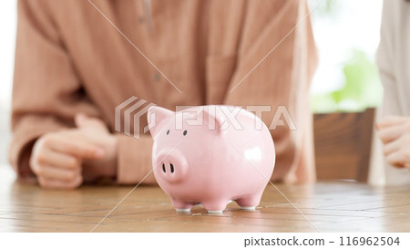 pig piggy bank closeup pig piggy bank closeup 116962504