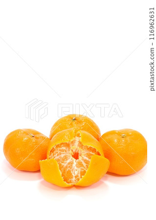 Aoshima mandarin oranges, Mikkabi mandarin oranges, Shizuoka prefecture, light background, peeled, white stripes 116962631