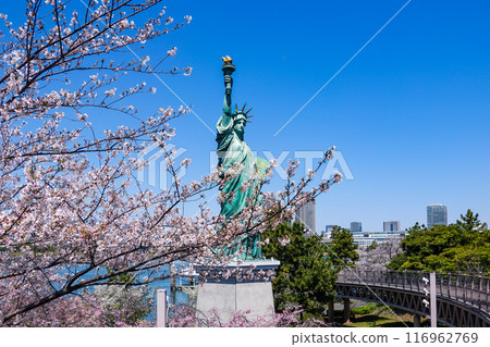 櫻花盛開的台場自由女神像(東京都港區) 櫻花盛開的台場自由女神像(東京都港區) 116962769