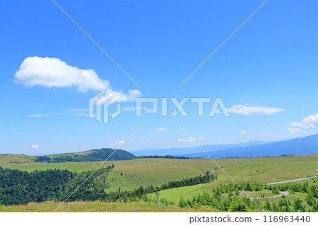 夏季Mikahara高原 116963440