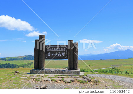 Summer Mikahara Plateau 116963442