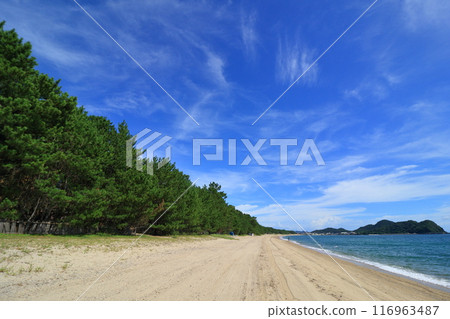 Beautiful coastline, calm waters of the Seto Inland Sea, Seto Inland Sea swimming beaches 116963487