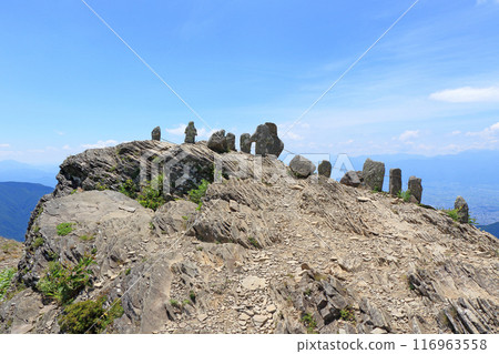 夏季的美原高原，黃金花的頂峰 116963558