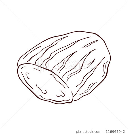 Sliced bread in line art style. Bakery product, loaf sketch. Vector illustration isolated on a white background. 116963942