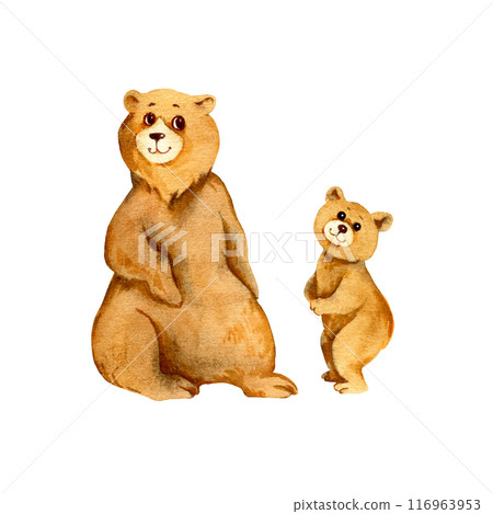 watercolor family of brown bear, sketch of cartoon adult mother bear and standing little bear cub, funny illustration on white background, for children posters watercolor family of brown bear, sketch of cartoon adult mother bear and standing little bear cub, funny illustration on white background, for children posters 116963953