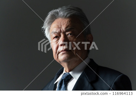 Business Senior Man Business Senior Man 116964113