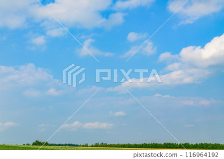 北海道十勝市的廣闊農場 116964192