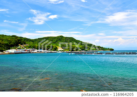 View of the Ashibo Port area (Numazu City, Shizuoka Prefecture) [2024.7] 116964205