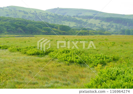 Car mountain 116964274