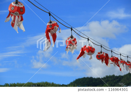 Goldfish lanterns swimming in the blue sky, a traditional craft of Yanai City, a tourist townscape Goldfish lanterns swimming in the blue sky, a traditional craft of Yanai City, a tourist townscape 116964301