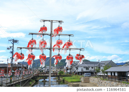 金魚燈籠 柳井市傳統工藝品 柳井市街景 116964581