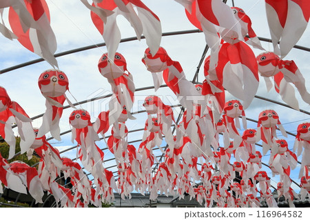 Goldfish lanterns, a traditional craft of Yanai City, Yanai City streetscape 116964582