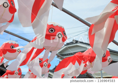 金魚燈籠 柳井市傳統工藝品 柳井市街景 116964583