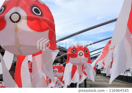 金魚燈籠 柳井市傳統工藝品 柳井市街景 金魚燈籠 柳井市傳統工藝品 柳井市街景 116964585