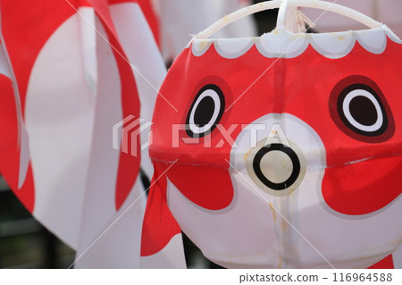 金魚燈籠 柳井市傳統工藝品 柳井市街景 116964588
