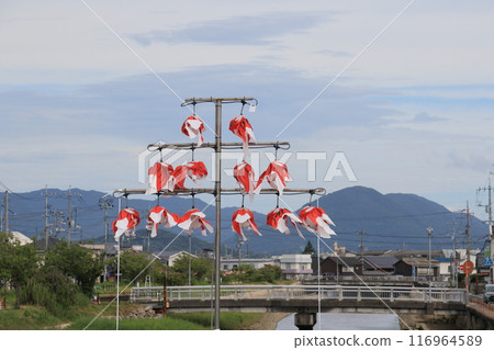 Goldfish lanterns, a traditional craft of Yanai City, Yanai City streetscape Goldfish lanterns, a traditional craft of Yanai City, Yanai City streetscape 116964589