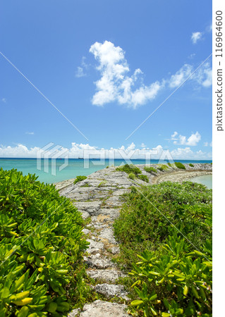 沖繩本島南部絲滿市鹽崎美麗的大海 116964600