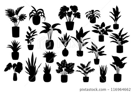 Home plant silhouettes, beautiful plants in ceramic pots, house plants, house decor with plants 116964662