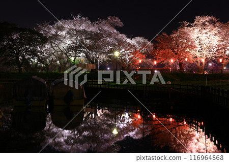 Spring illuminations at Tenshochi Spring illuminations at Tenshochi 116964868
