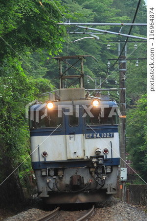 初夏時節，EF64牽引的貨運列車（81列）在中央西線上強勁行駛，綠葉美麗_攝於2024年7月6日 116964874