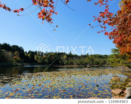 野呂山的冰池（廣島縣吳市） 116964963