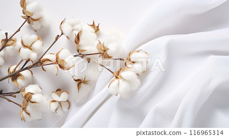 白布和棉花背景 白布和棉花背景 116965314