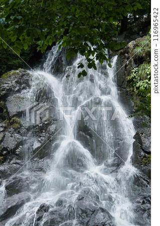 想要清涼一下,就去神鍋谷的瀑佈吧 想要清涼一下,就去神鍋谷的瀑佈吧 116965422