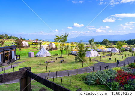 以大自然為背景的露營地風景和萬壽菊花“阿蘇九重國立公園內(九重花卉公園)” 以大自然為背景的露營地風景和萬壽菊花“阿蘇九重國立公園內(九重花卉公園)” 116966250