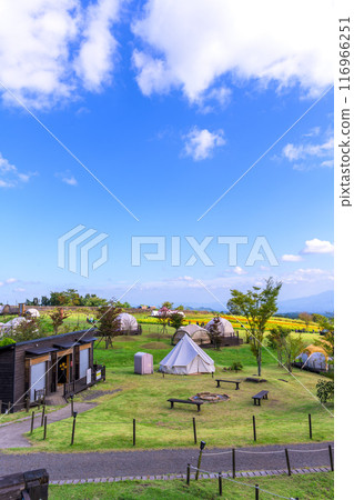 Camping site scenery and marigold flowers with the backdrop of nature in "Aso Kuju National Park (Kuju Flower Park)" 116966251