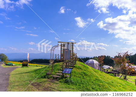 Camping site scenery and marigold flowers with the backdrop of nature in "Aso Kuju National Park (Kuju Flower Park)" 116966252