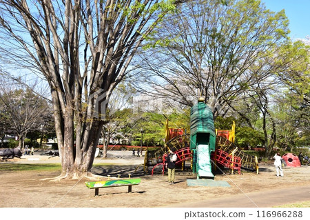 伊勢崎市華藏寺公園遊樂設施廣場和盛開的櫻花 116966288