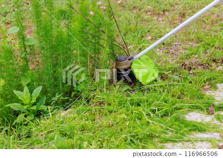 Lawn care weed garden worker mows green grass with hand trimmer Lawn care weed garden worker mows green grass with hand trimmer 116966506