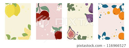 Set of vertical fruit flyers for summer design 116966527