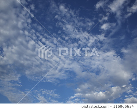 Clouds floating in the blue sky 116966654