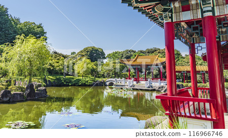 Scenery of Japanese Chinese garden "Shenzhuen" [Kanagawa Prefecture Kawasaki City] 116966746
