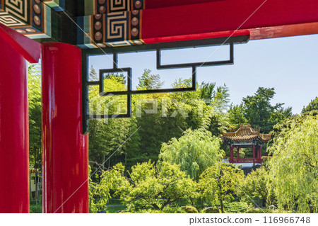 Scenery of Japanese Chinese garden "Shenzhuen" [Kanagawa Prefecture Kawasaki City] 116966748