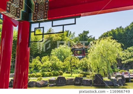 Scenery of Japanese Chinese garden "Shenzhuen" [Kanagawa Prefecture Kawasaki City] 116966749