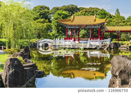日式中國園林“神主園”的風景【神奈川縣川崎市】 116966750