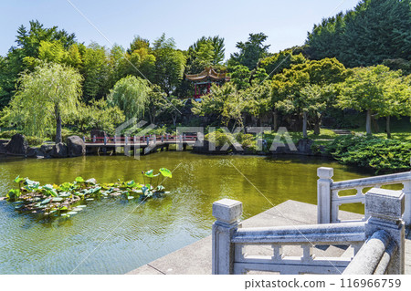 日式中國園林“神主園”的風景【神奈川縣川崎市】 116966759