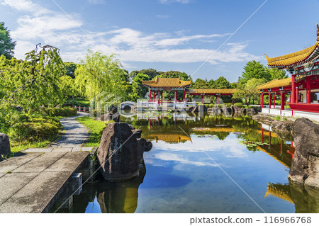 Scenery of Japanese Chinese garden "Shenzhuen" [Kanagawa Prefecture Kawasaki City] 116966768